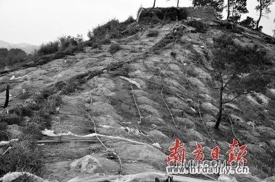 漫山遍野皆是網(wǎng)狀酸液管道。