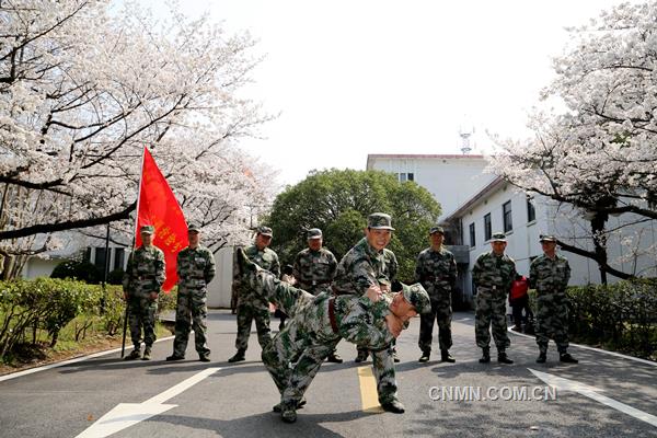 3月22日，陽光明媚，春意融融，銅陵有色安慶銅礦櫻花綻放。該礦民兵應(yīng)急分隊(duì)隊(duì)員們正在櫻花樹下展開擒敵技能大比武。據(jù)了解，這是一支平均年齡在三十歲以下、由青工組成的精干隊(duì)伍，在礦山急難險(xiǎn)重的工作中，都活躍著他們的身影，是一支作風(fēng)過硬、紀(jì)律嚴(yán)明、能打硬仗的礦山“護(hù)衛(wèi)隊(duì)”。