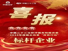 中國二十二冶再度榮膺“雙百行動”標桿企業(yè)